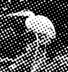 Halftone
